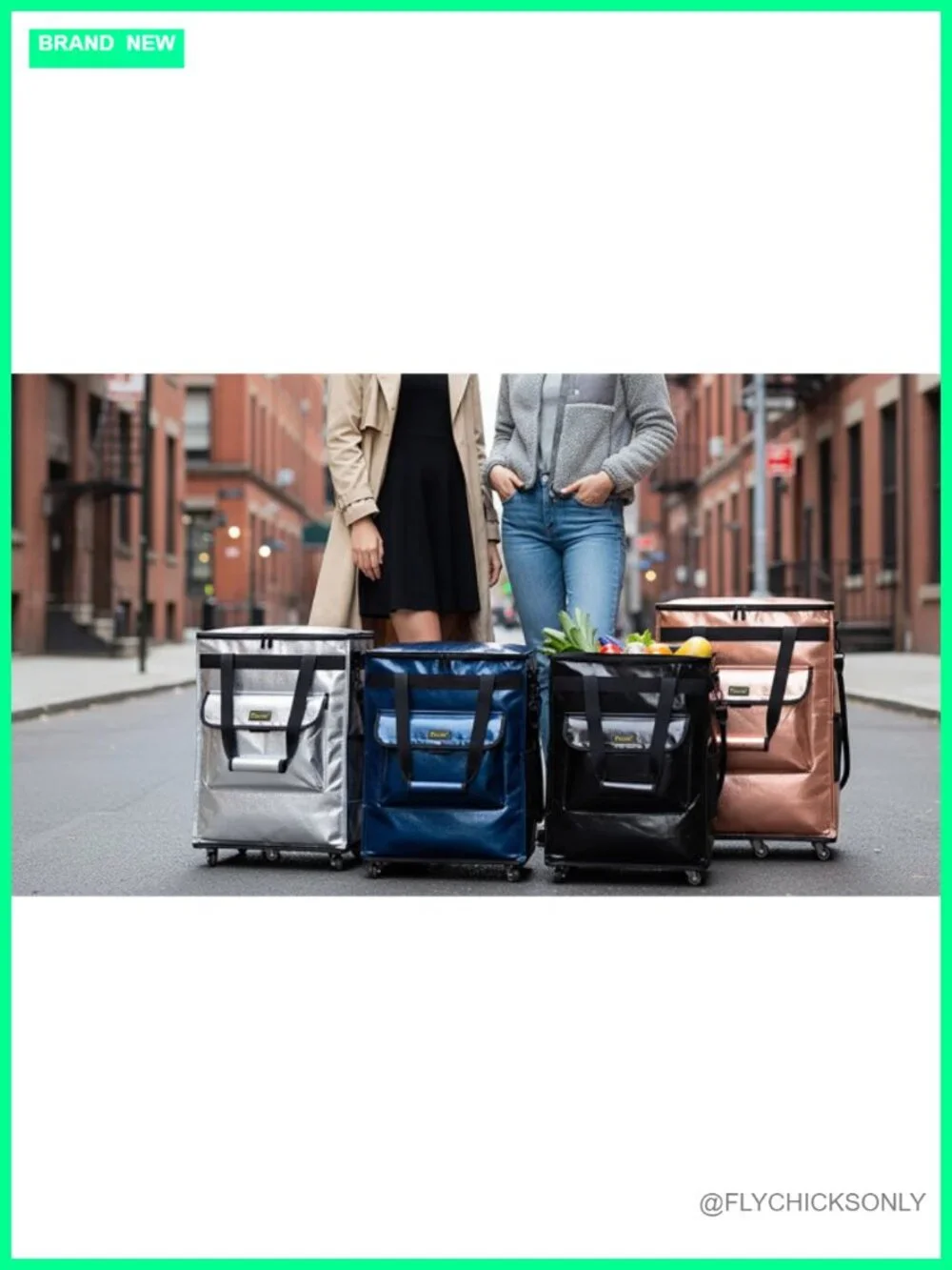 Reusable Grocery Bags on Wheels, Rolling Tote Bag, Shopping Trolley, Large